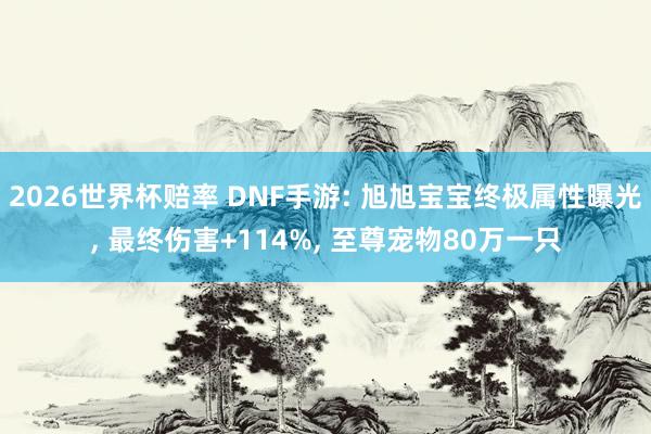 2026世界杯赔率 DNF手游: 旭旭宝宝终极属性曝光， 最终伤害+114%， 至尊宠物80万一只