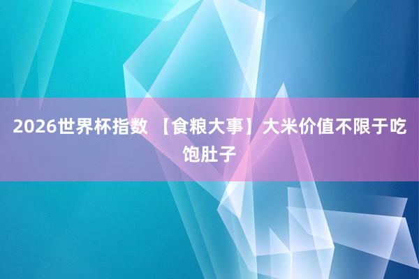 2026世界杯指数 【食粮大事】大米价值不限于吃饱肚子