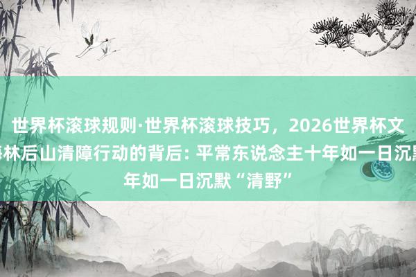 世界杯滚球规则·世界杯滚球技巧，2026世界杯文字直播 梅林后山清障行动的背后: 平常东说念主十年如一日沉默“清野”