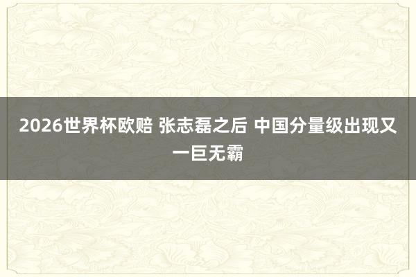 2026世界杯欧赔 张志磊之后 中国分量级出现又一巨无霸