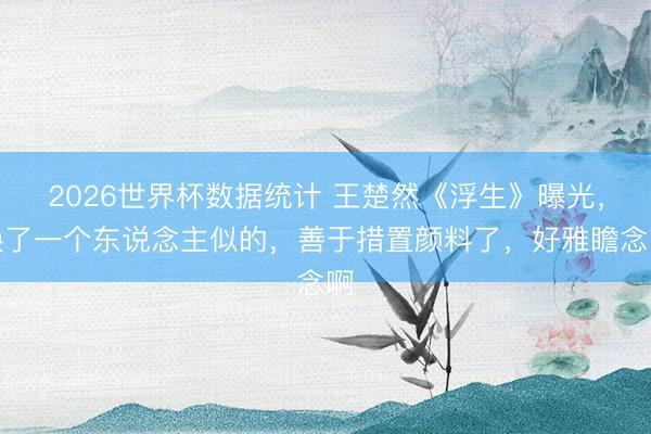 2026世界杯数据统计 王楚然《浮生》曝光,换了一个东说念主似的,善于措置颜料了,好雅瞻念啊
