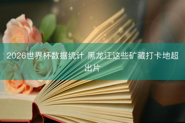 2026世界杯数据统计 黑龙江这些矿藏打卡地超出片