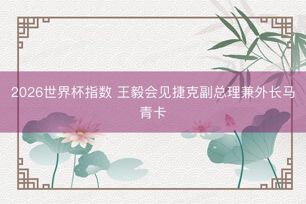 2026世界杯指数 王毅会见捷克副总理兼外长马青卡
