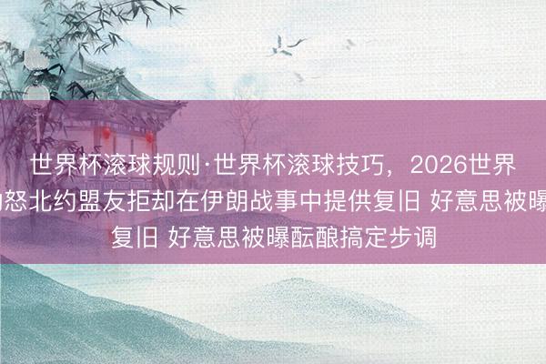 世界杯滚球规则·世界杯滚球技巧,2026世界杯文字直播 动怒北约盟友拒却在伊朗战事中提供复旧 好意思被曝酝酿搞定步调