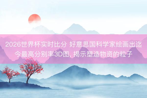 2026世界杯实时比分 好意思国科学家绘画出迄今最高分别率3D图, 揭示塑造物资的粒子