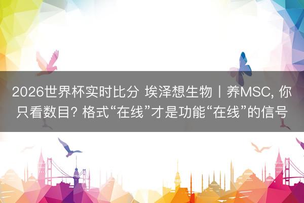 2026世界杯实时比分 埃泽想生物丨养MSC， 你只看数目? 格式“在线”才是功能“在线”的信号