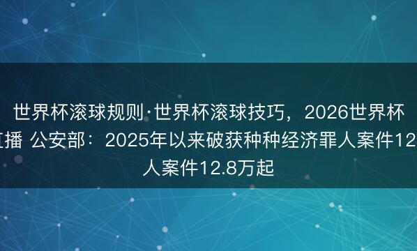 世界杯滚球规则·世界杯滚球技巧,2026世界杯文字直播 公安部:2025年以来破获种种经济罪人案件12.8万起