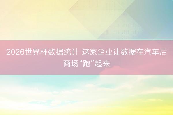 2026世界杯数据统计 这家企业让数据在汽车后商场“跑”起来