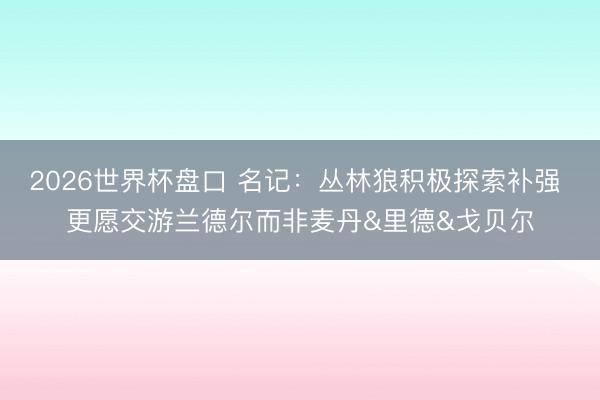 2026世界杯盘口 名记：丛林狼积极探索补强 更愿交游兰德尔而非麦丹&里德&戈贝尔